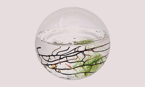 EcoSphere