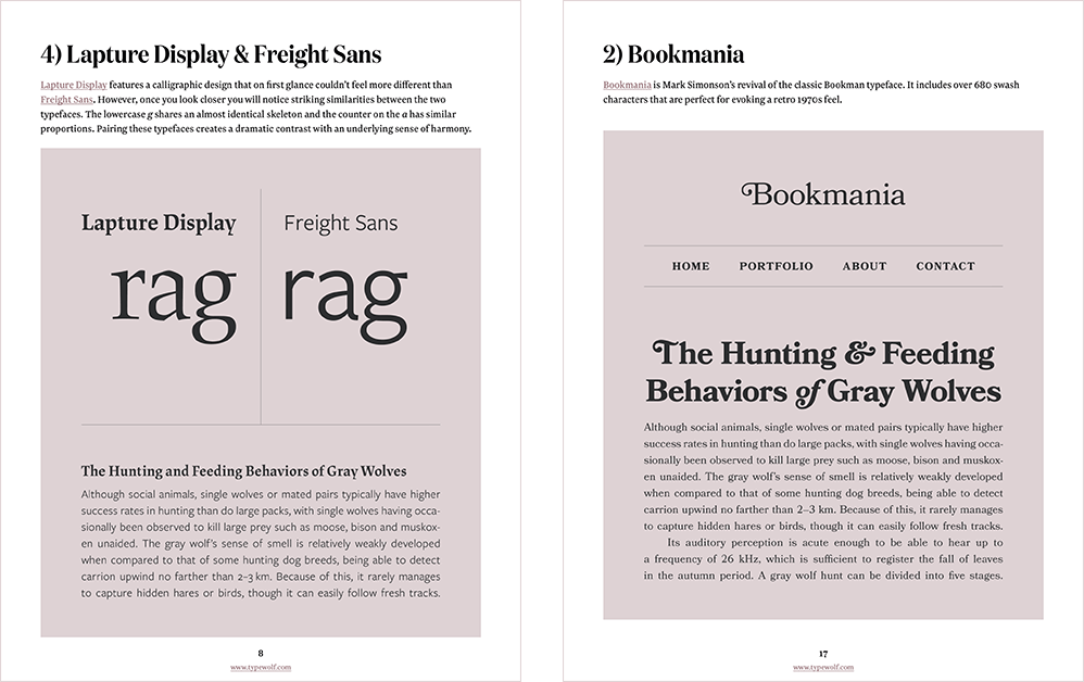 Typewolf’s Guide to Adobe Fonts (Typekit) · Typewolf