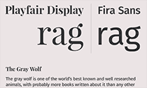 Top 10 Serif + Sans-Serif Font Combos on Google Fonts