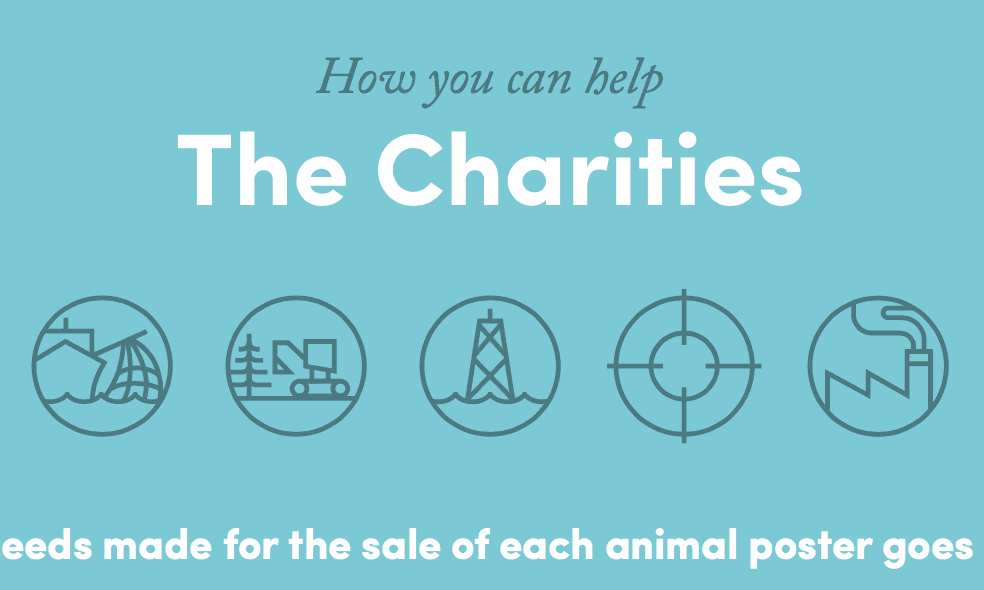 Abril Fatface Font Combinations & Similar Fonts · Typewolf