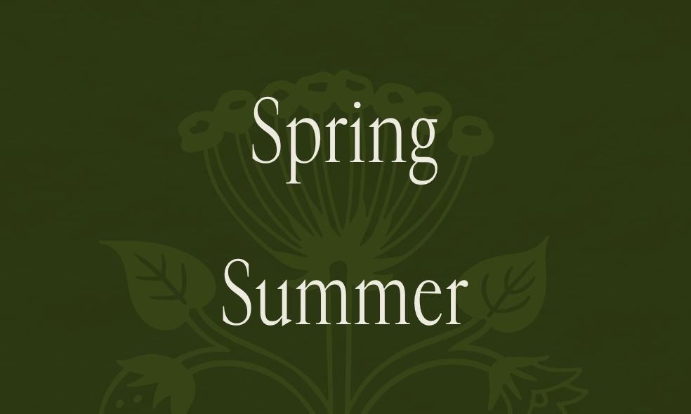 Heart & Soil · Typewolf